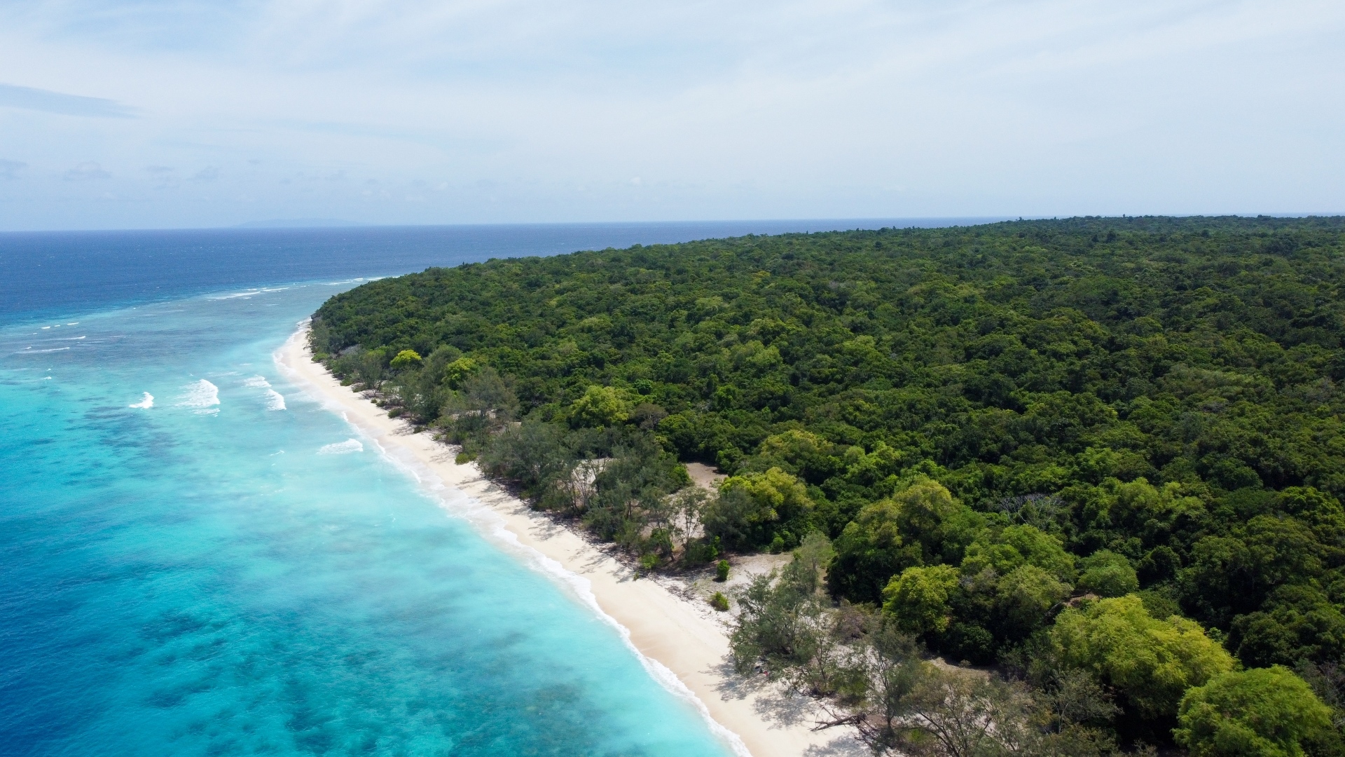 Why Foreign Buyers Are Moving to Jaco Beach in 2025