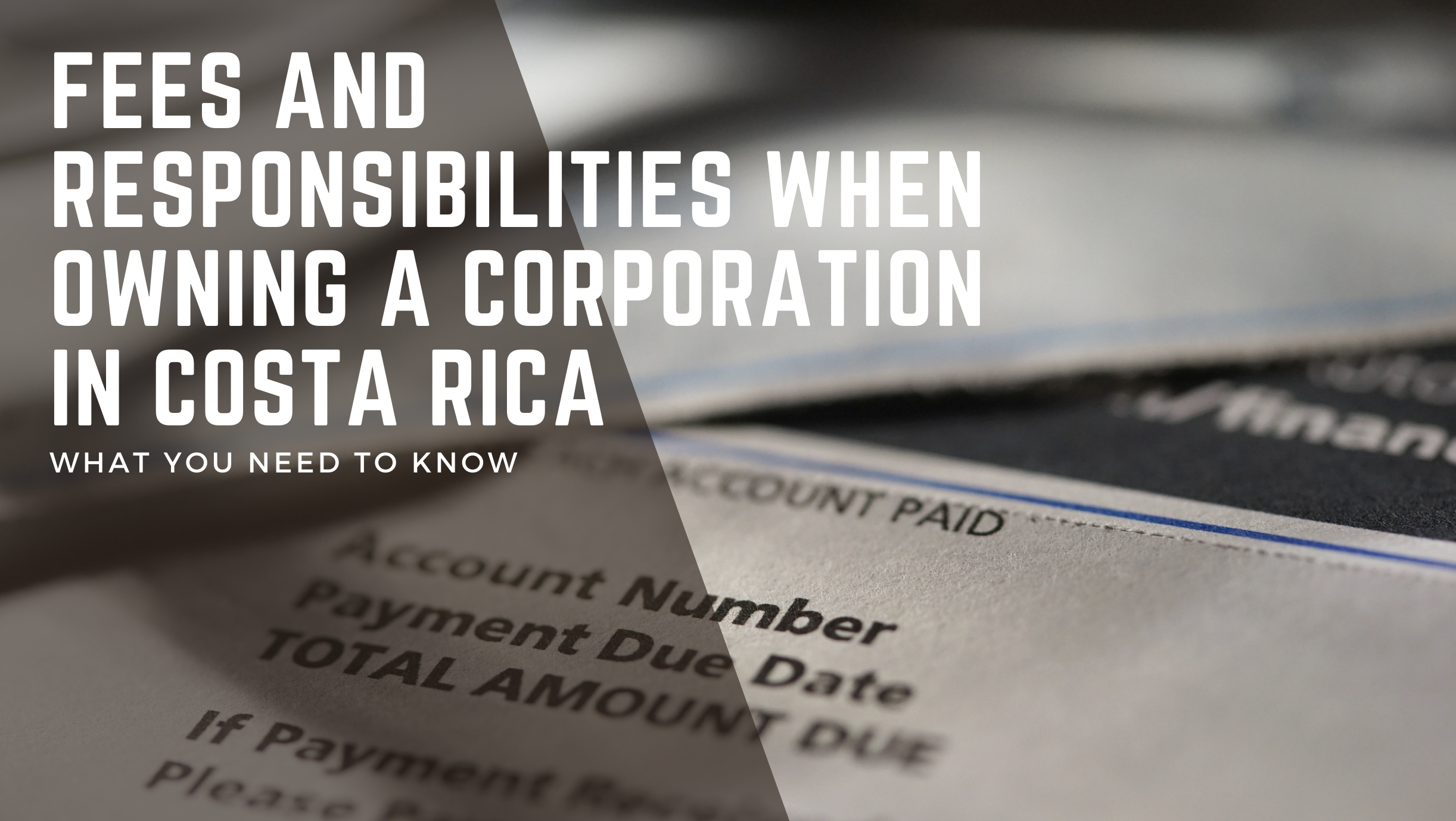Fees and Responsibilities When Owning a Corporation in Costa Rica
